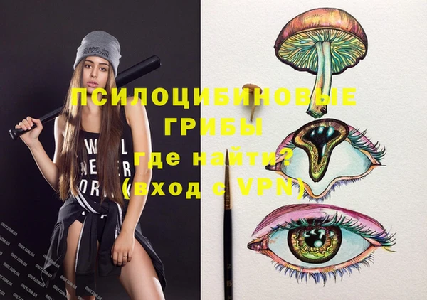 ПСИЛОЦИБИНОВЫЕ ГРИБЫ Коряжма
