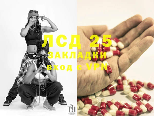 ПСИЛОЦИБИНОВЫЕ ГРИБЫ Коряжма