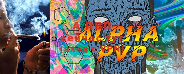 ПСИЛОЦИБИНОВЫЕ ГРИБЫ Коряжма